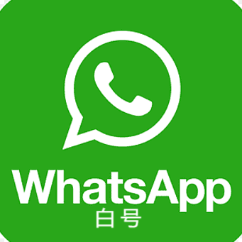 WhatsApp白号