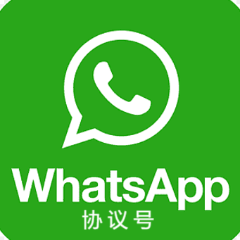 WhatsApp协议号